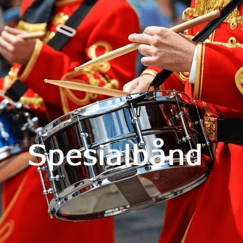 Spesialbånd